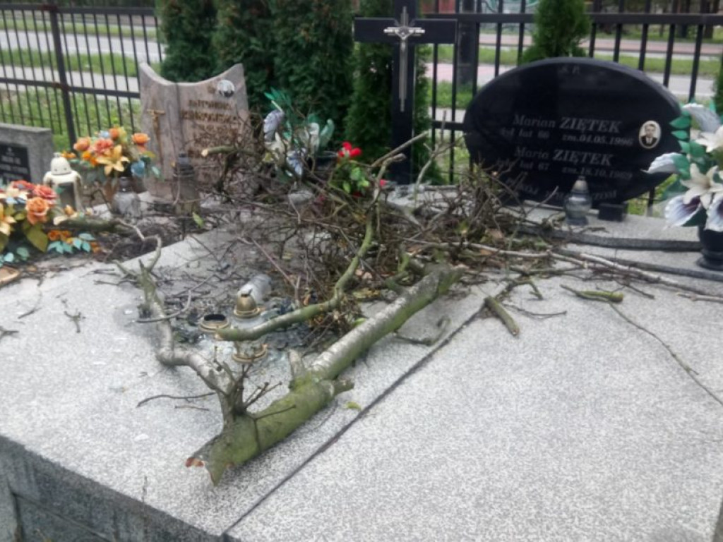 Połamane drzewa i zniszczone groby na tarnobrzeskim cmentarzu [ZDJĘCIA]