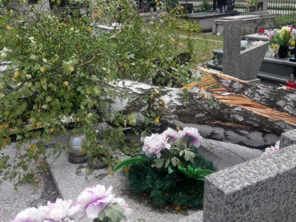 Połamane drzewa i zniszczone groby na tarnobrzeskim cmentarzu [ZDJĘCIA]