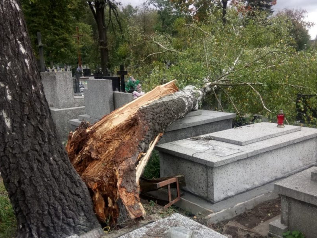 Połamane drzewa i zniszczone groby na tarnobrzeskim cmentarzu [ZDJĘCIA]
