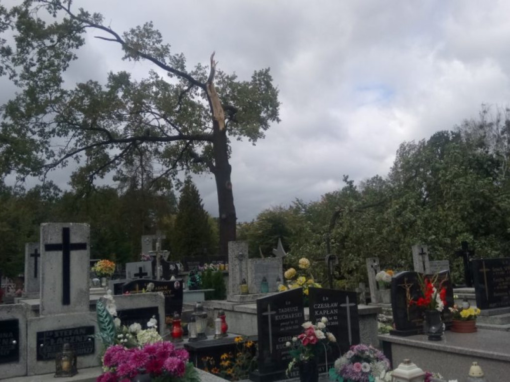 Połamane drzewa i zniszczone groby na tarnobrzeskim cmentarzu [ZDJĘCIA]