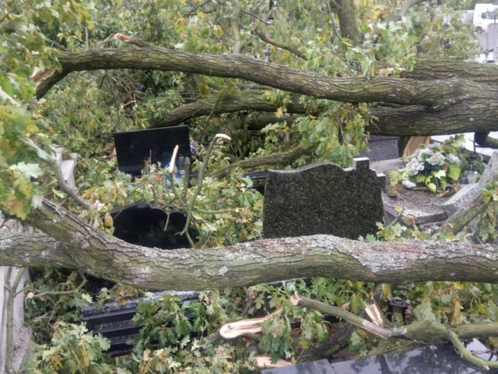 Połamane drzewa i zniszczone groby na tarnobrzeskim cmentarzu [ZDJĘCIA]