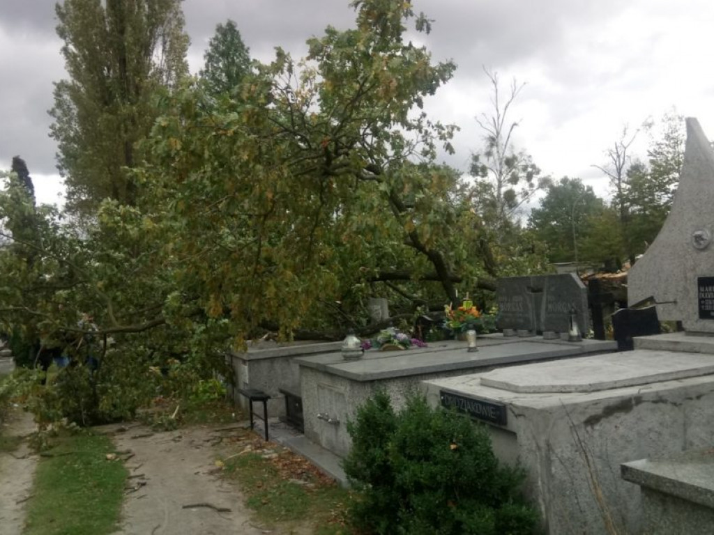 Połamane drzewa i zniszczone groby na tarnobrzeskim cmentarzu [ZDJĘCIA]