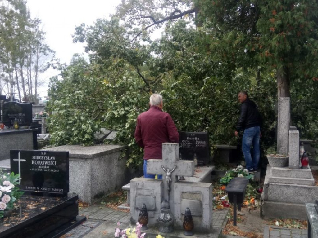 Połamane drzewa i zniszczone groby na tarnobrzeskim cmentarzu [ZDJĘCIA]