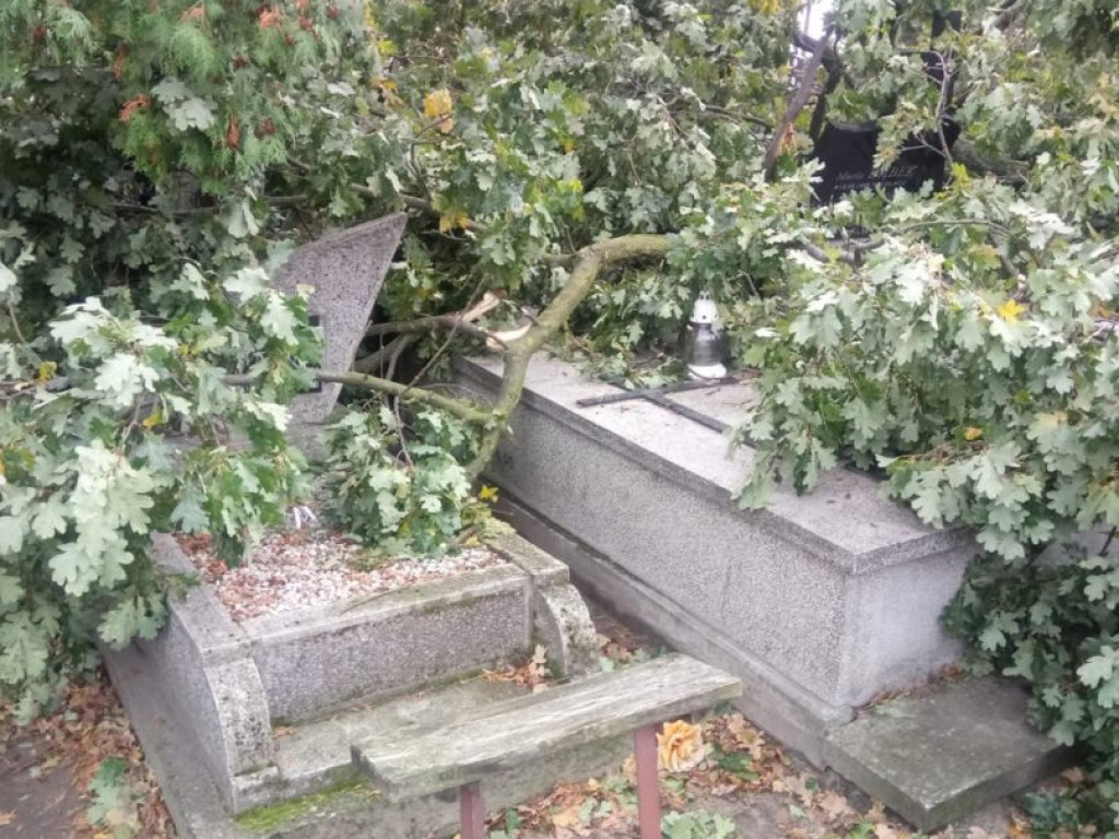 Połamane drzewa i zniszczone groby na tarnobrzeskim cmentarzu [ZDJĘCIA]