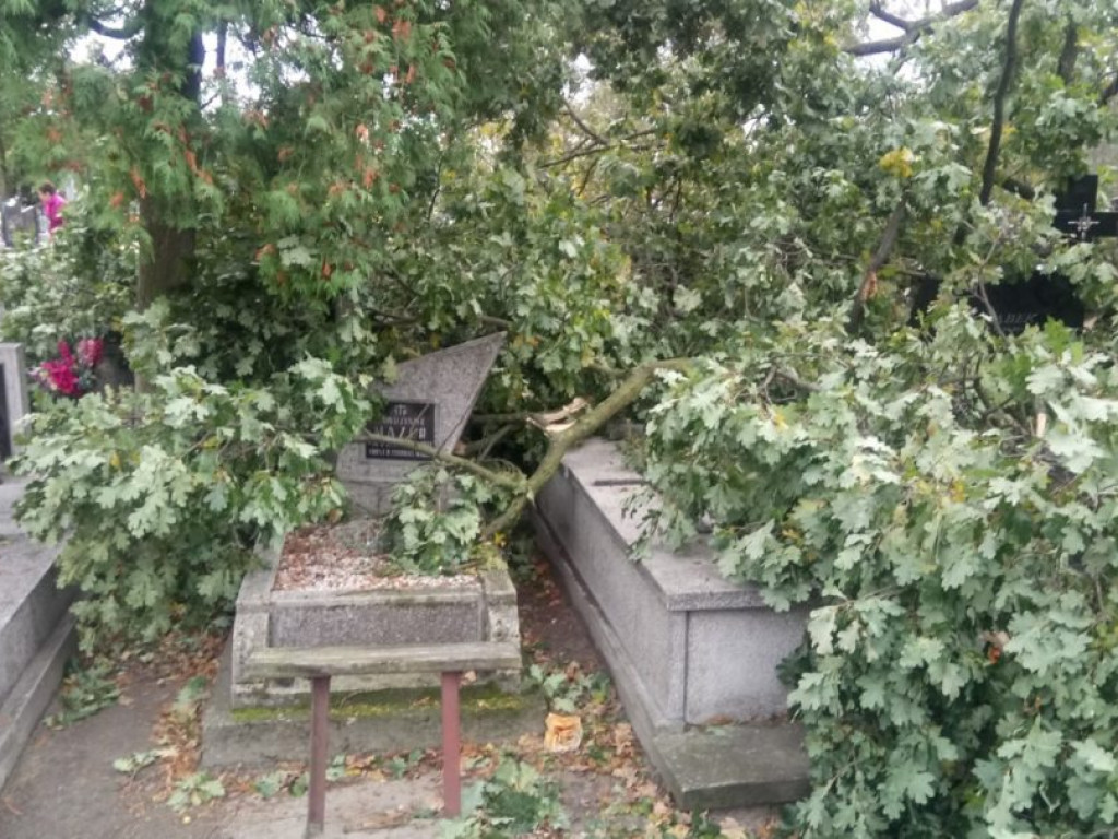 Połamane drzewa i zniszczone groby na tarnobrzeskim cmentarzu [ZDJĘCIA]