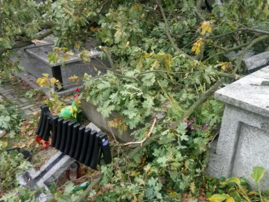Połamane drzewa i zniszczone groby na tarnobrzeskim cmentarzu [ZDJĘCIA]