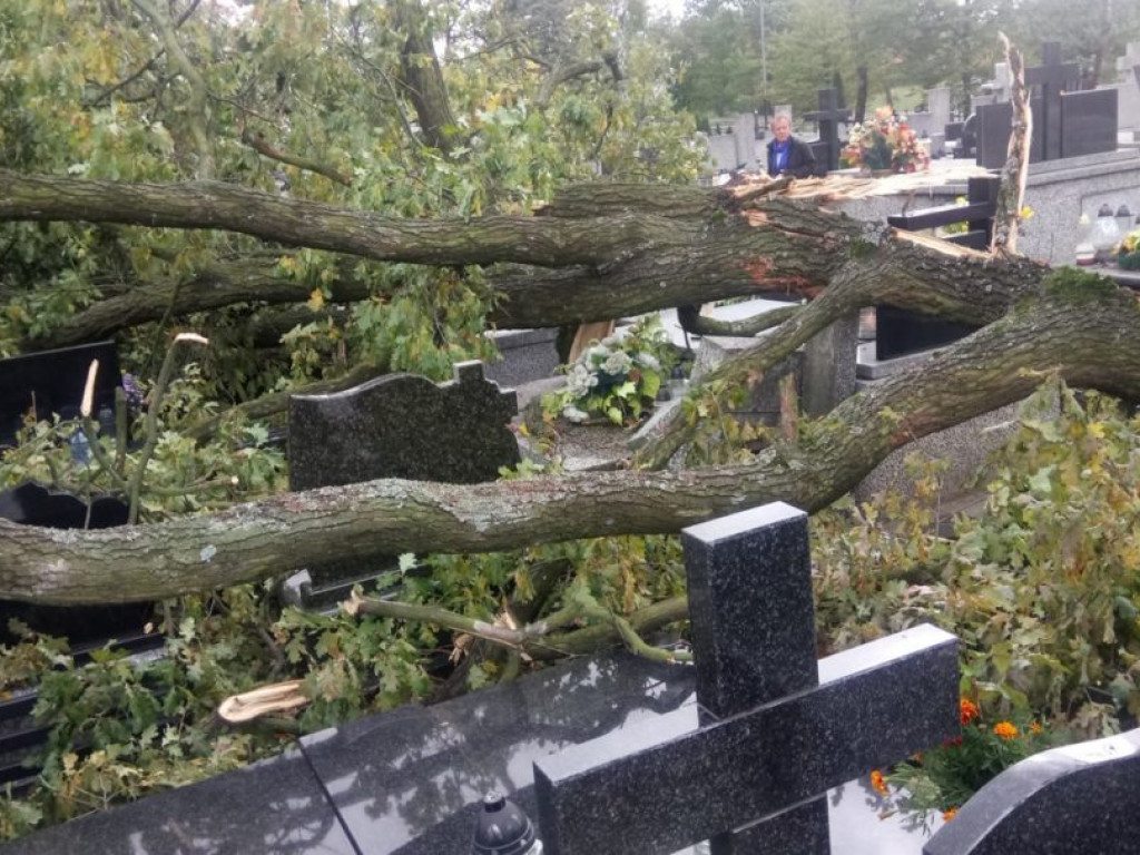 Połamane drzewa i zniszczone groby na tarnobrzeskim cmentarzu [ZDJĘCIA]