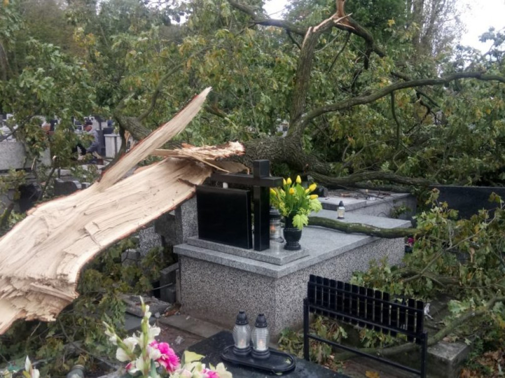 Połamane drzewa i zniszczone groby na tarnobrzeskim cmentarzu [ZDJĘCIA]