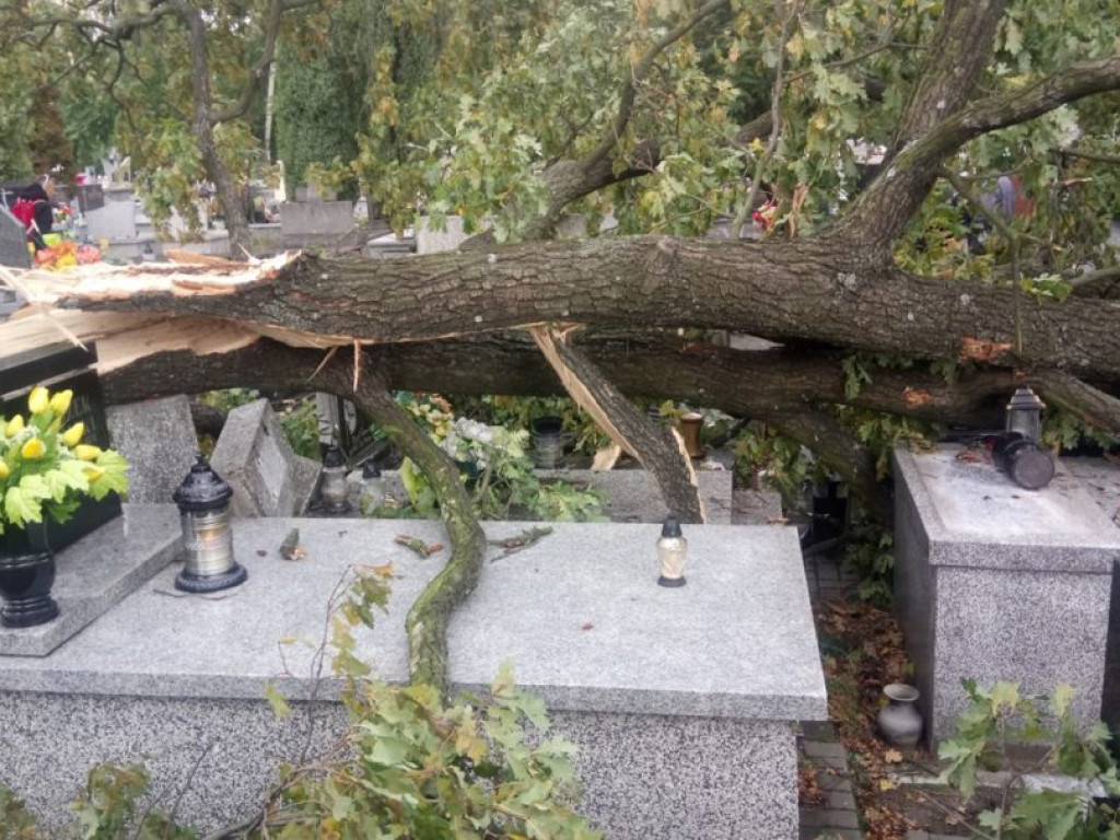 Połamane drzewa i zniszczone groby na tarnobrzeskim cmentarzu [ZDJĘCIA]
