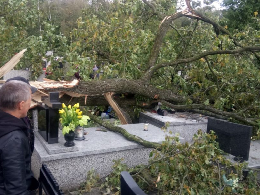 Połamane drzewa i zniszczone groby na tarnobrzeskim cmentarzu [ZDJĘCIA]