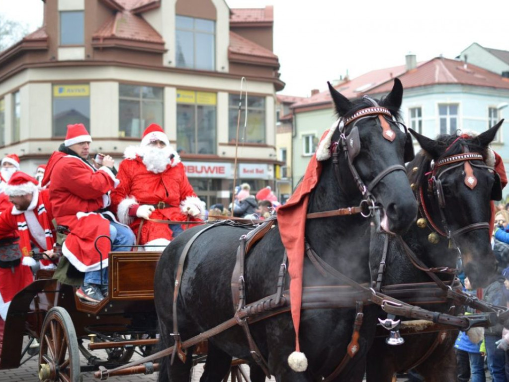 Tarnobrzeg znów opanowały Mikołaje! Zdjęcia z parady i świątecznego jarmarku