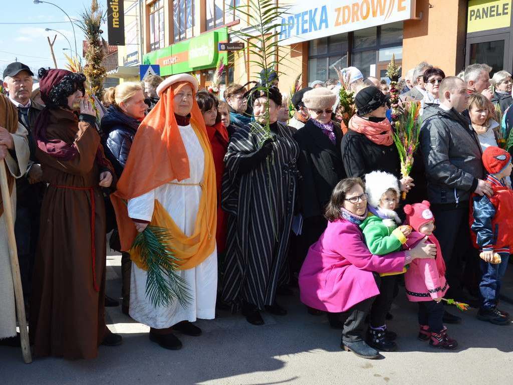 VII edycja widowiska plenerowego 