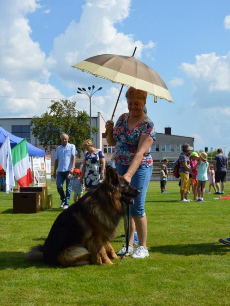 Parada psich piękności [ZDJĘCIA]