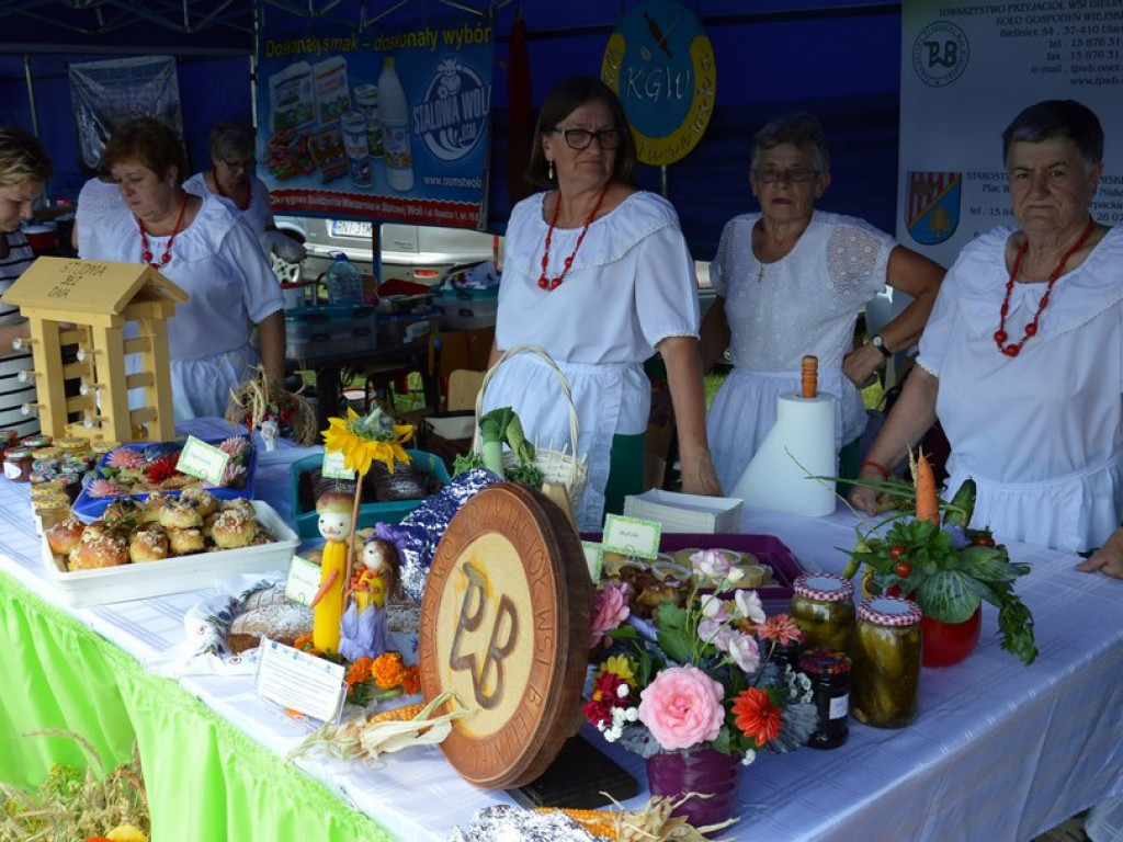 Rolnicy świętowali w Ulanowie [patronat TN]