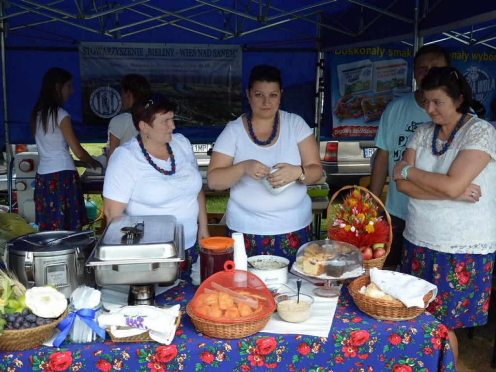 Rolnicy świętowali w Ulanowie [patronat TN]