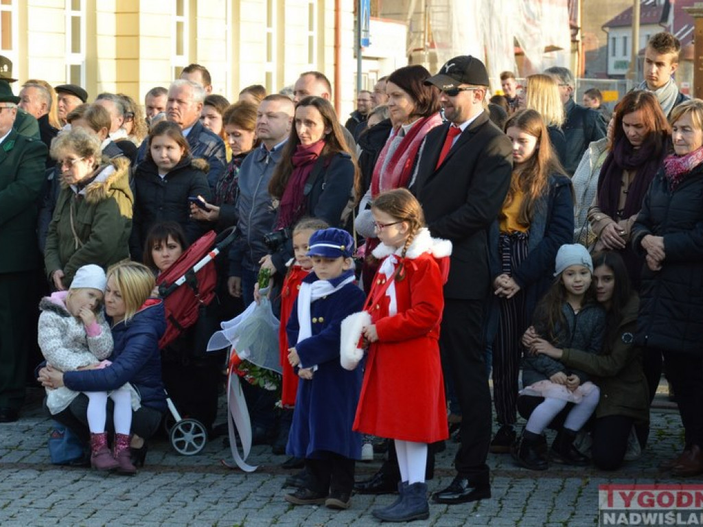 Wojsko na ulicach. Święto Niepodległości w Nisku [Zdjęcia]
