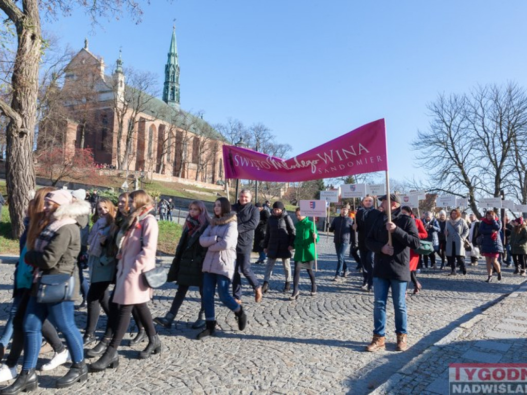 Święto Młodego Wina w Sandomierzu po raz szósty [Zdjęcia]
