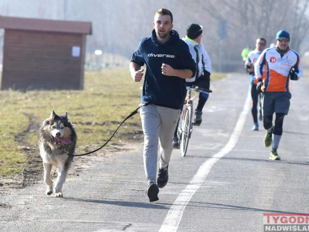 Bieg zimowy nad Jeziorem Tarnobrzeskim [zdjęcia]