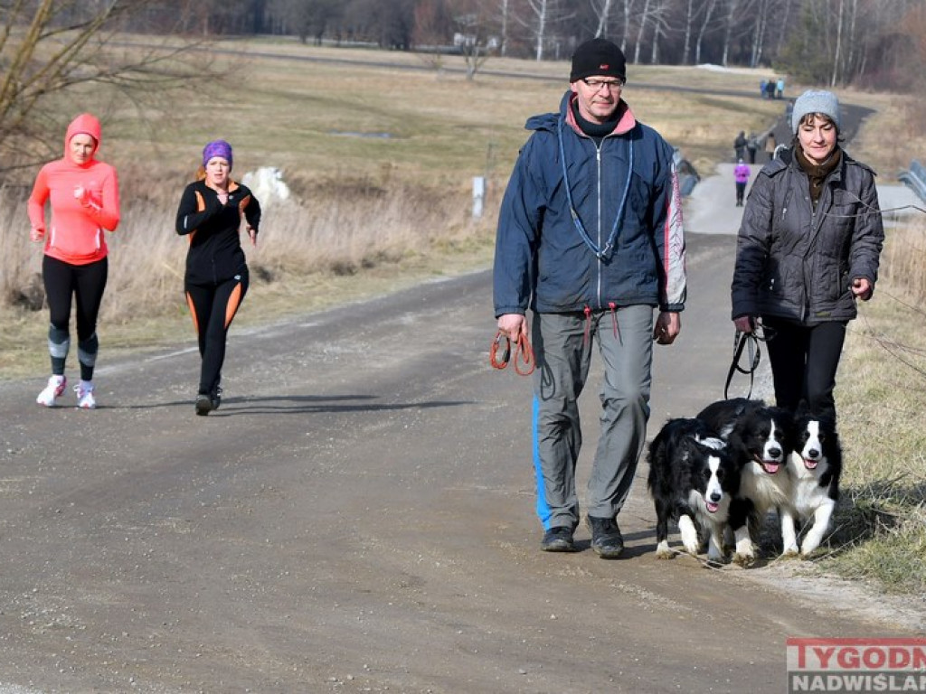 Bieg zimowy nad Jeziorem Tarnobrzeskim [zdjęcia]