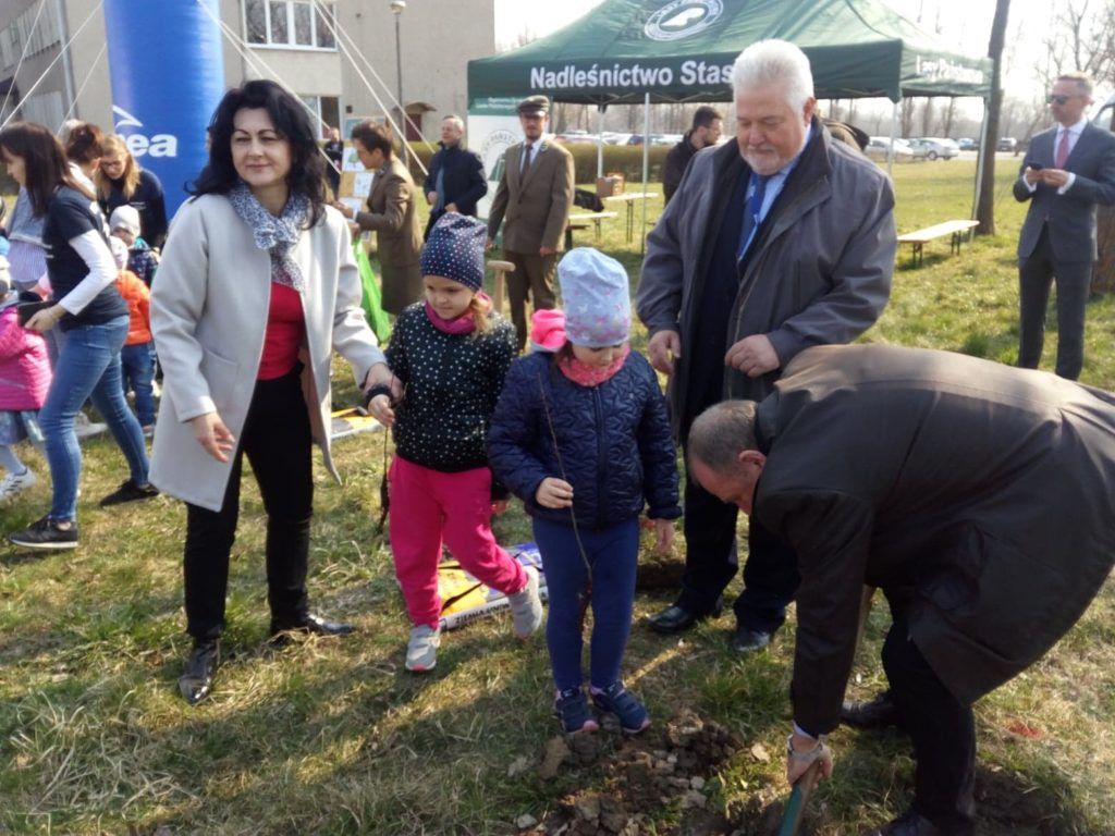 Posadzili 40 dębów na 40-lecie elektrowni [GALERIA ZDJĘĆ]