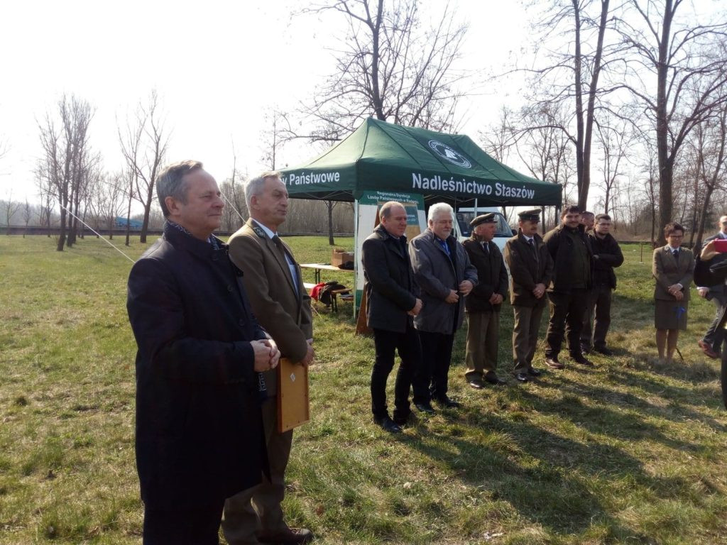 Posadzili 40 dębów na 40-lecie elektrowni [GALERIA ZDJĘĆ]
