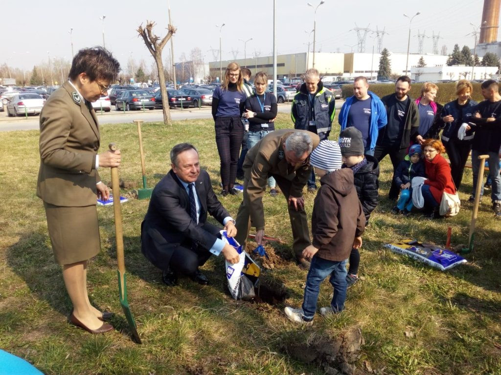 Posadzili 40 dębów na 40-lecie elektrowni [GALERIA ZDJĘĆ]