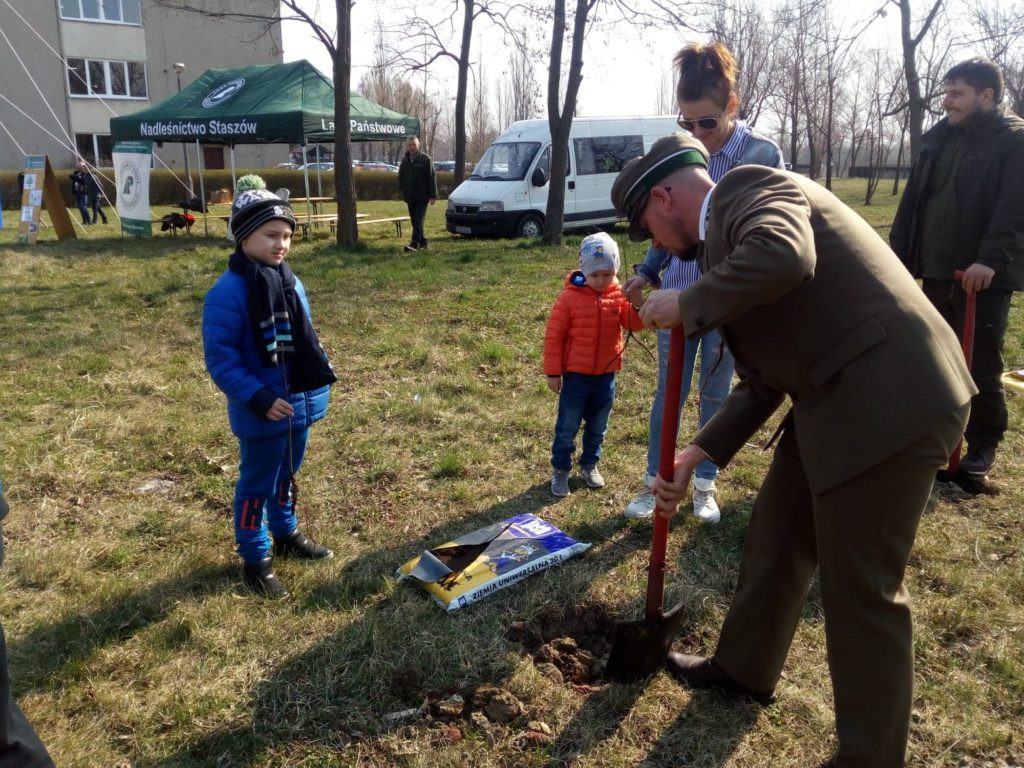 Posadzili 40 dębów na 40-lecie elektrowni [GALERIA ZDJĘĆ]