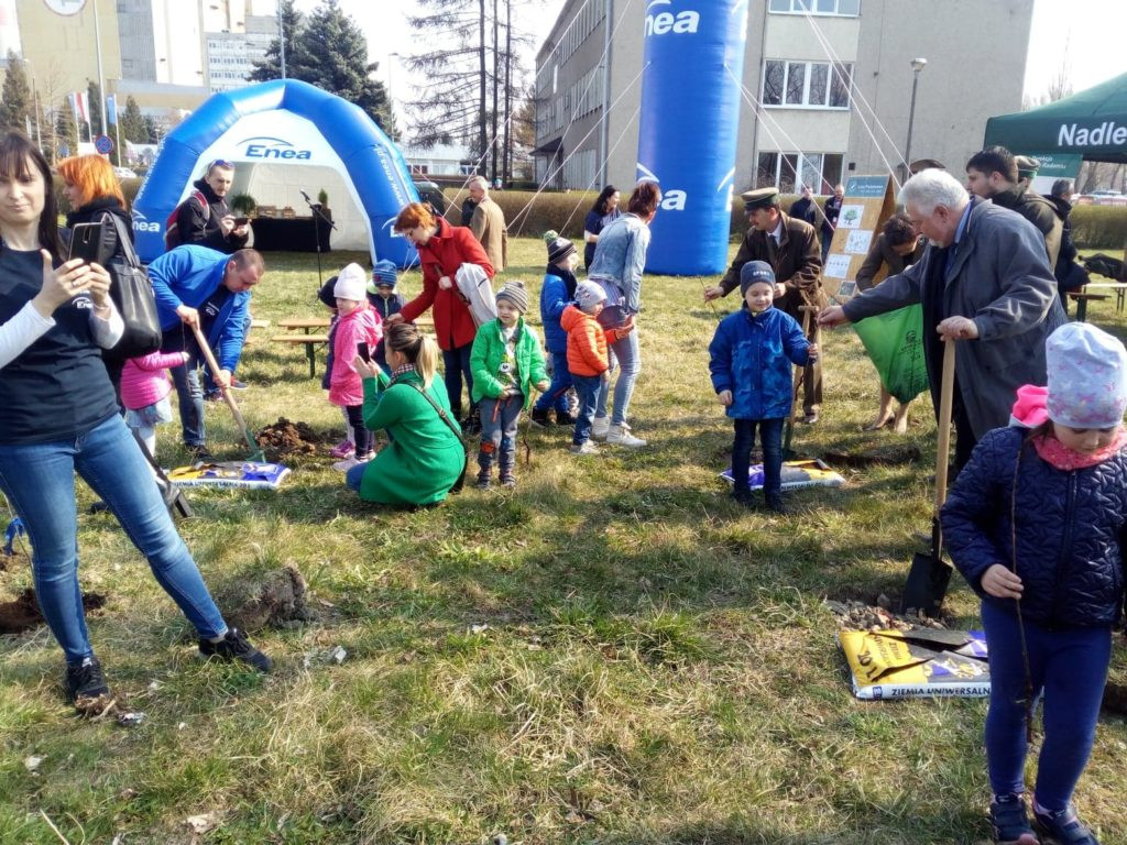 Posadzili 40 dębów na 40-lecie elektrowni [GALERIA ZDJĘĆ]