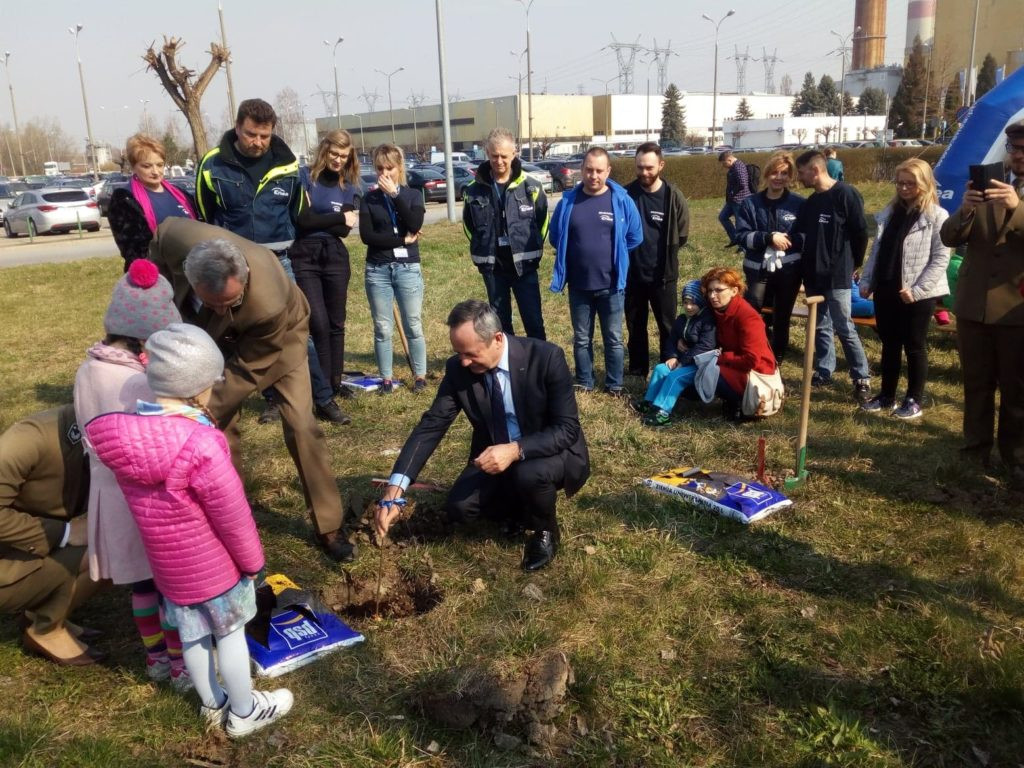 Posadzili 40 dębów na 40-lecie elektrowni [GALERIA ZDJĘĆ]