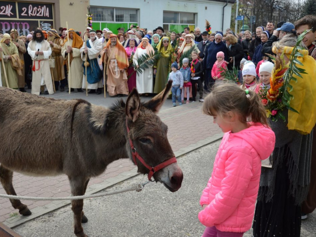 Wjazd Chrystusa do Jerozolimy - w Rudniku nad Sanem [zdjęcia]