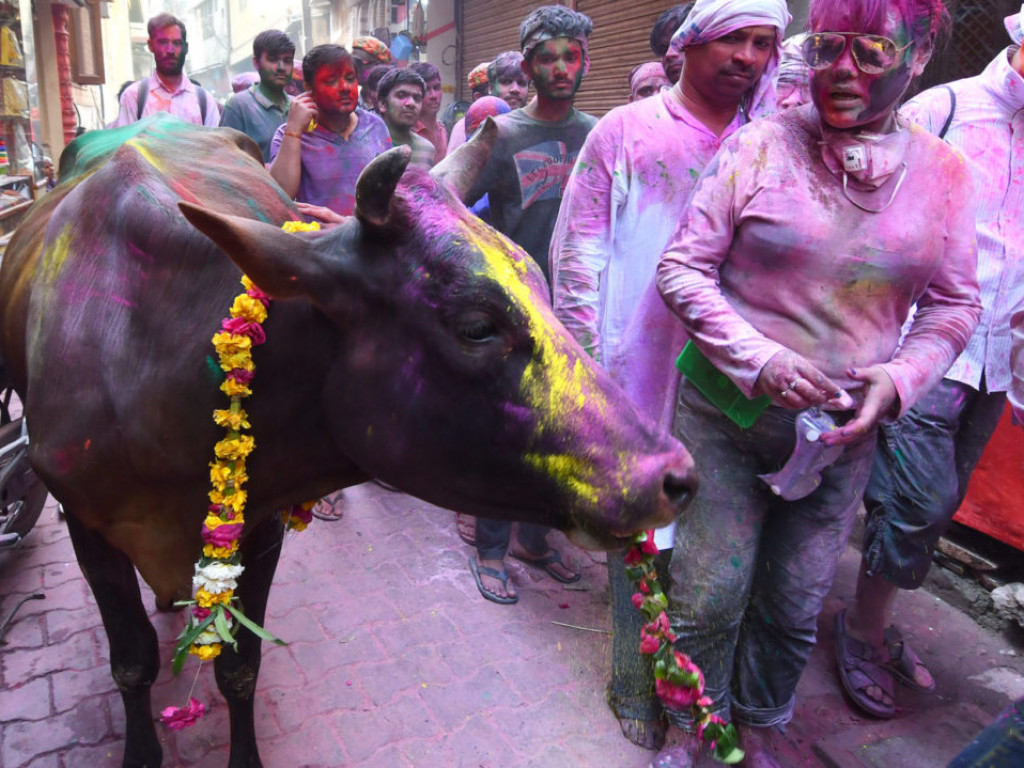 Hinduskie święto holi w obiektywie Bogdana Myśliwca [Zdjęcia]