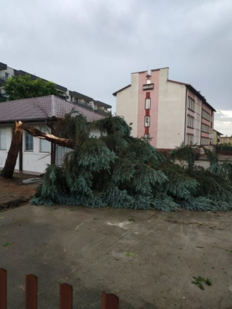 Zalane ulice i połamane drzewa - Tarnobrzeg po ulewie [zdjęcia]