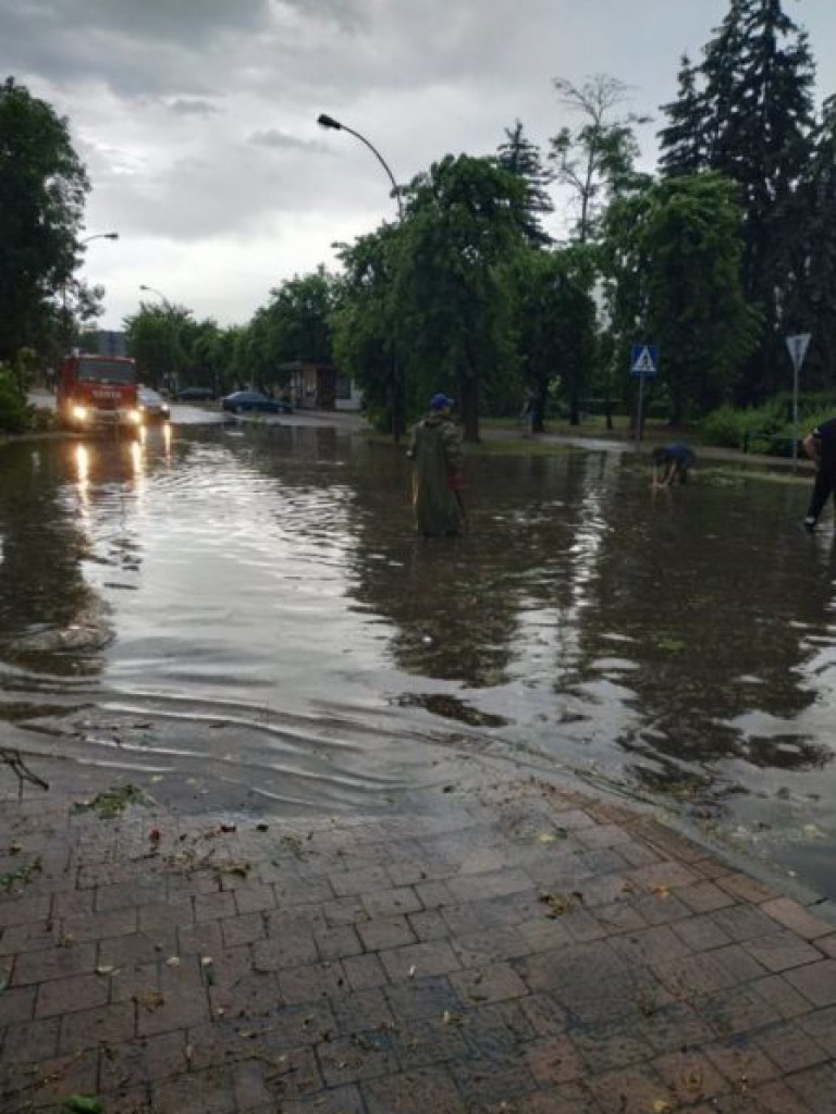 Zalane ulice i połamane drzewa - Tarnobrzeg po ulewie [zdjęcia]