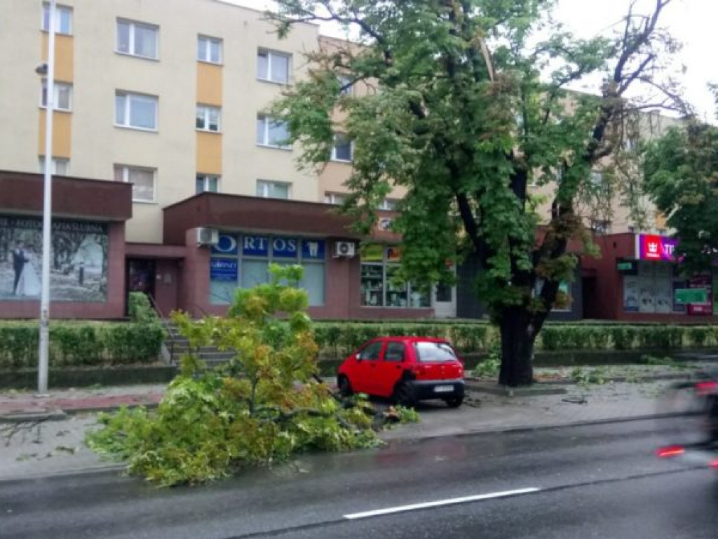Zalane ulice i połamane drzewa - Tarnobrzeg po ulewie [zdjęcia]