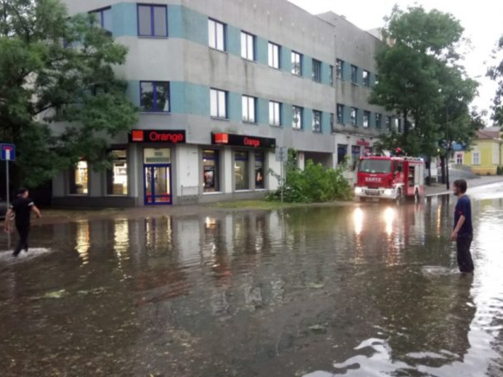 Zalane ulice i połamane drzewa - Tarnobrzeg po ulewie [zdjęcia]