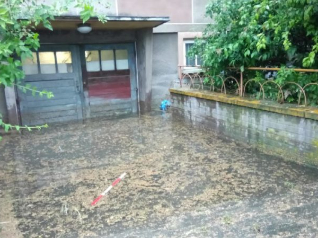 Zalane ulice i połamane drzewa - Tarnobrzeg po ulewie [zdjęcia]