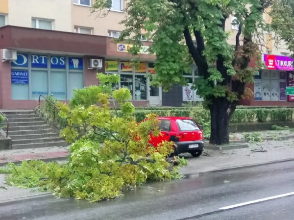 Zalane ulice i połamane drzewa - Tarnobrzeg po ulewie [zdjęcia]