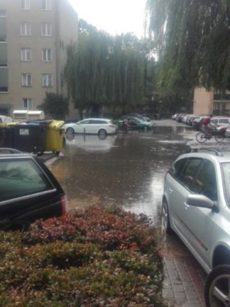 Zalane ulice i połamane drzewa - Tarnobrzeg po ulewie [zdjęcia]