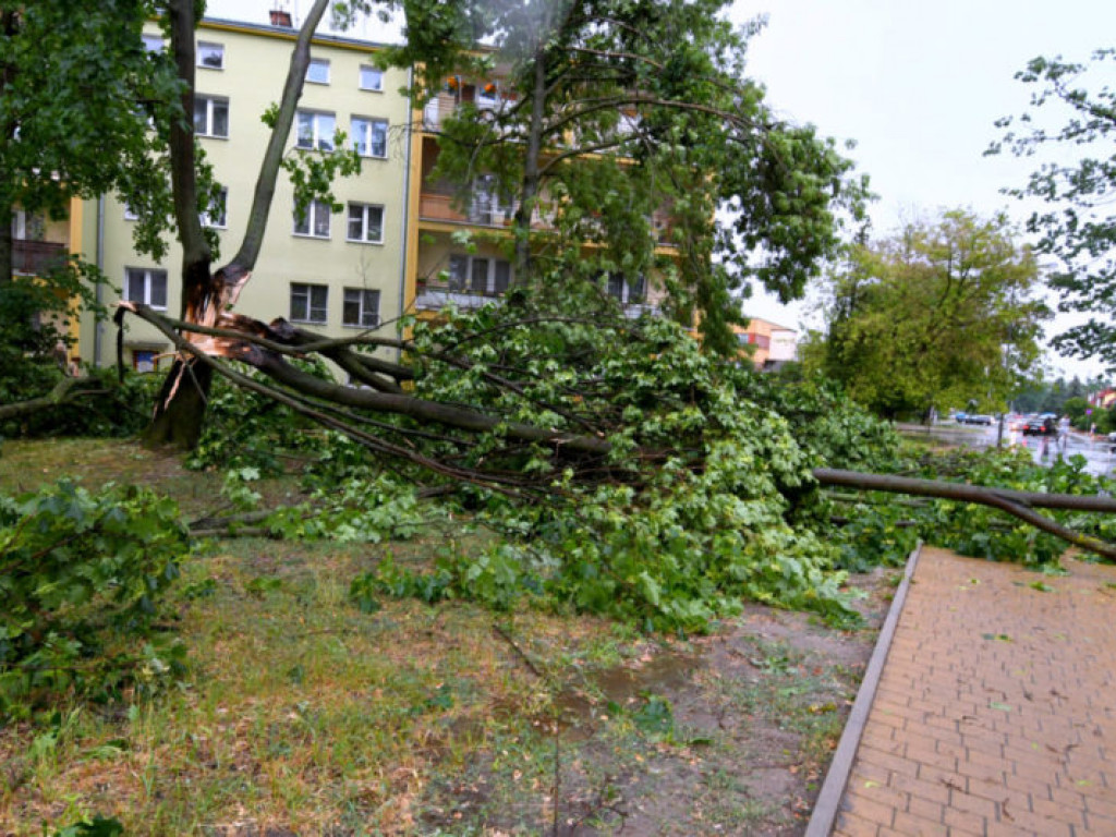 Skutki ulewy, która przeszła nad Tarnobrzegiem [nowe zdjęcia]