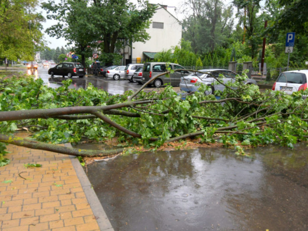 Skutki ulewy, która przeszła nad Tarnobrzegiem [nowe zdjęcia]
