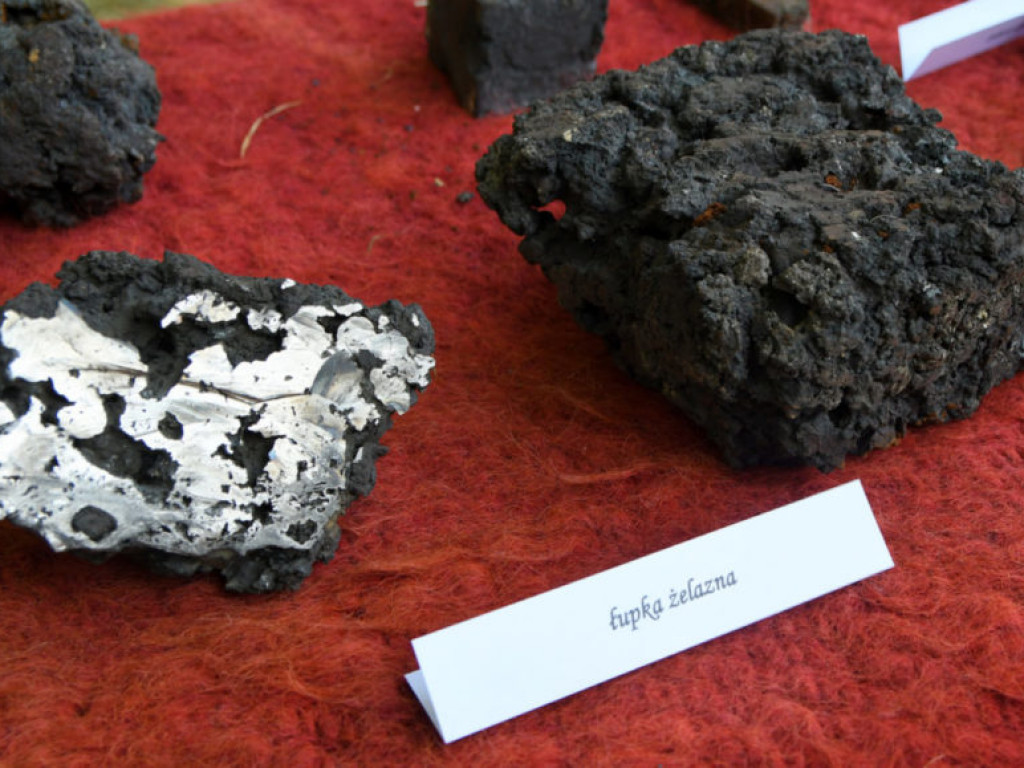 Piknik Archeologiczny w Parku Dzikowskim (zdjęcia)