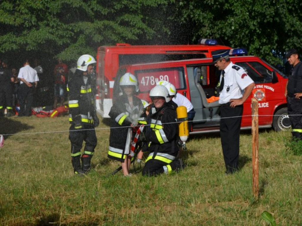 Andrzej Seweryn odebrał Kryształowe Berło. Piknik Rycerski w Ossolinie [zdjęcia]