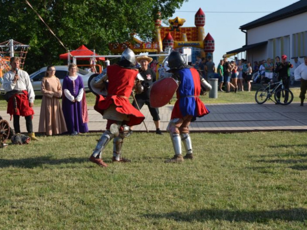Andrzej Seweryn odebrał Kryształowe Berło. Piknik Rycerski w Ossolinie [zdjęcia]