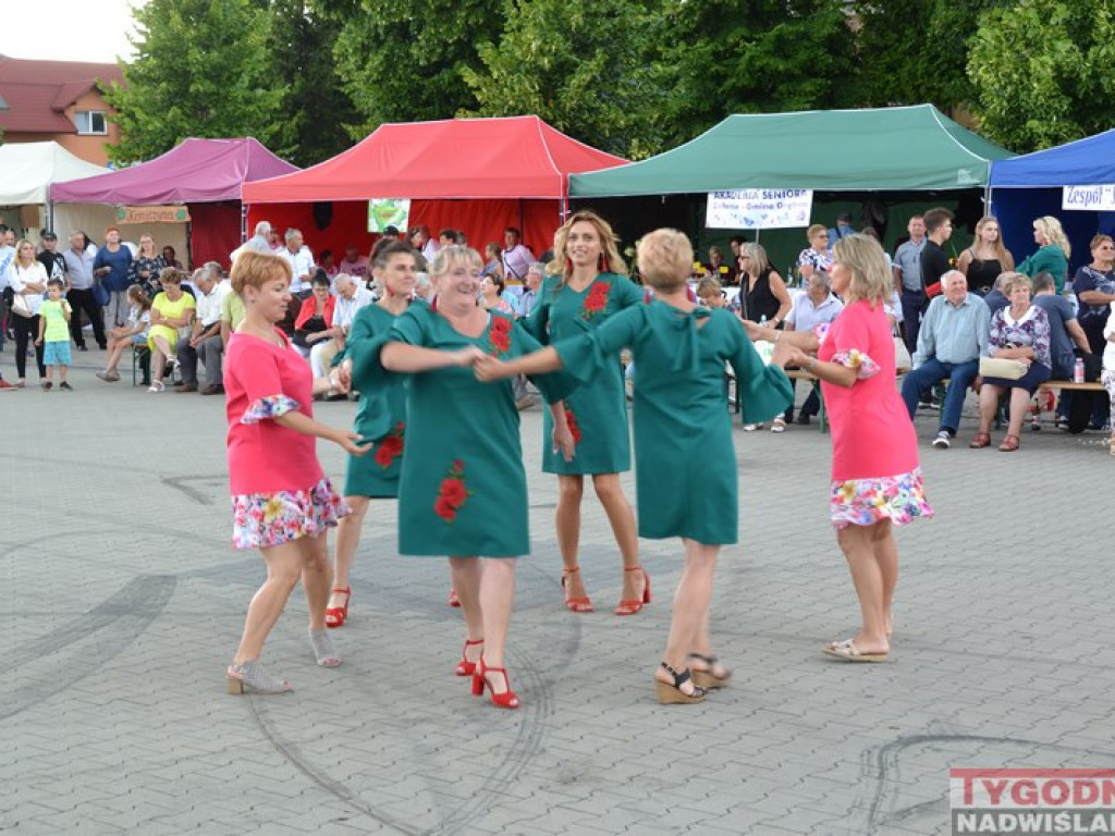 Tak się bawił Grębów! [zdjęcia]