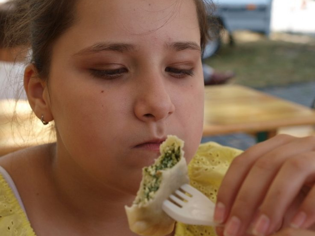 Lasowiacki Festiwal Pierogów w Stalowej Woli [zdjęcia]