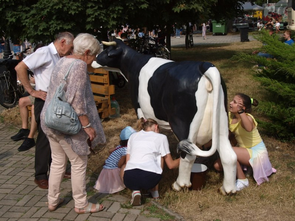Lasowiacki Festiwal Pierogów w Stalowej Woli [zdjęcia]
