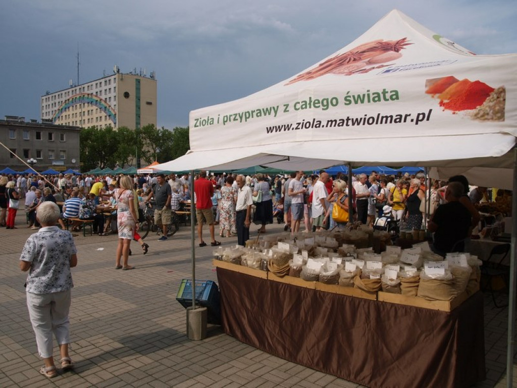 Lasowiacki Festiwal Pierogów w Stalowej Woli [zdjęcia]