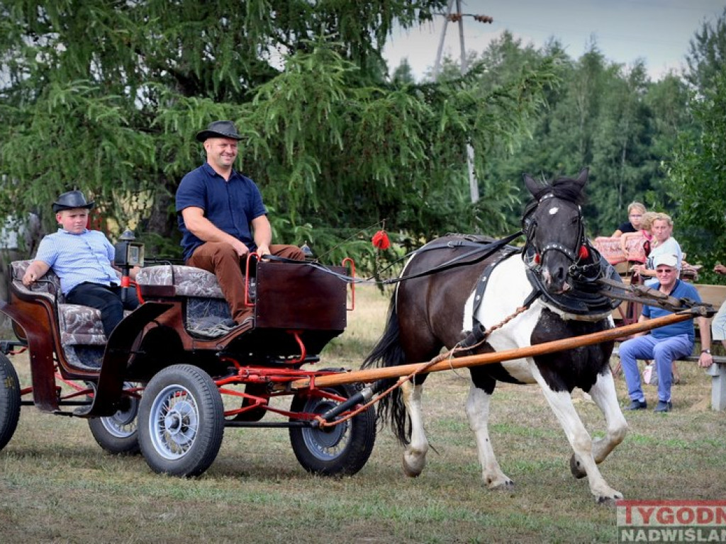 Furmanki, bryczki i powozy królowały w... Furmanach [Zdjęcia]