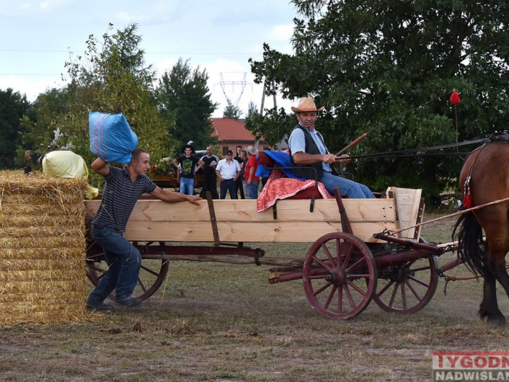 Furmanki, bryczki i powozy królowały w... Furmanach [Zdjęcia]