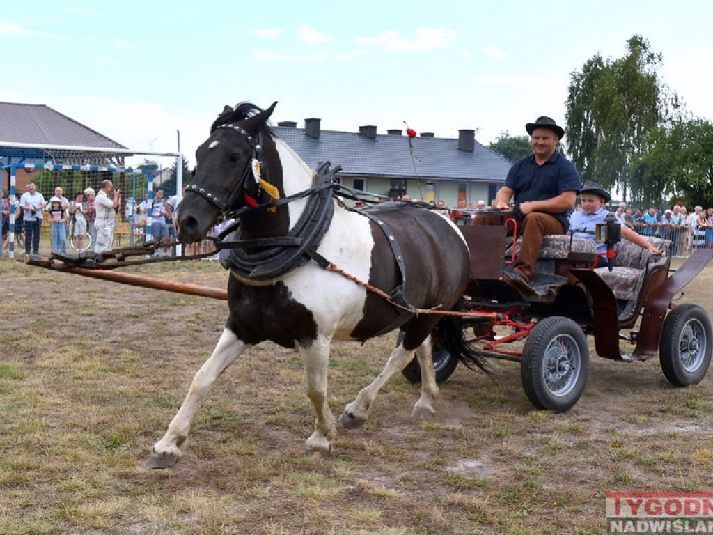 Furmanki, bryczki i powozy królowały w... Furmanach [Zdjęcia]